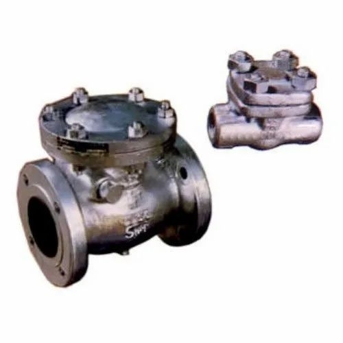 Swing Check Valve And Lift Check Valve