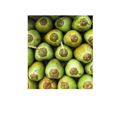 Green Coconut