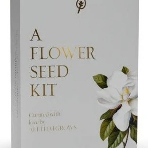 Summer Flower Seed Pack