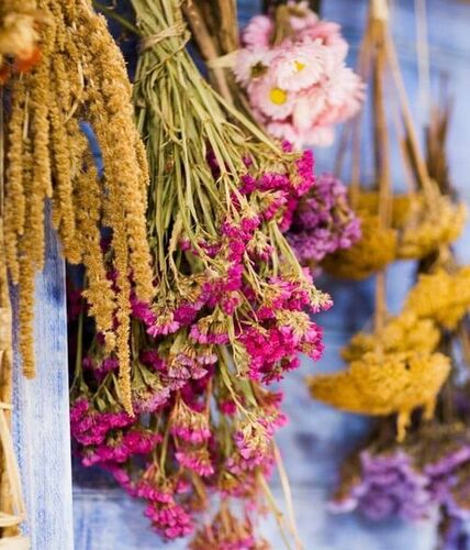 Dried Flowers