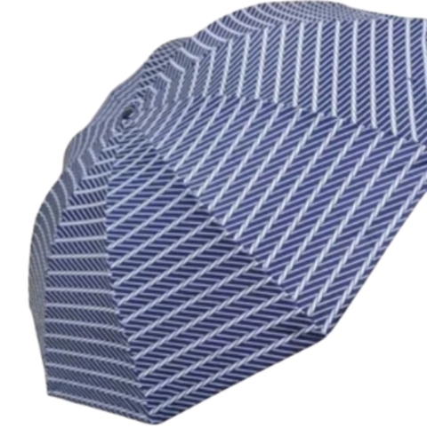 Striped Print Umbrella
