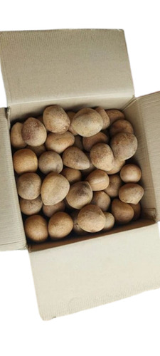Dried Coconut Ball Copra