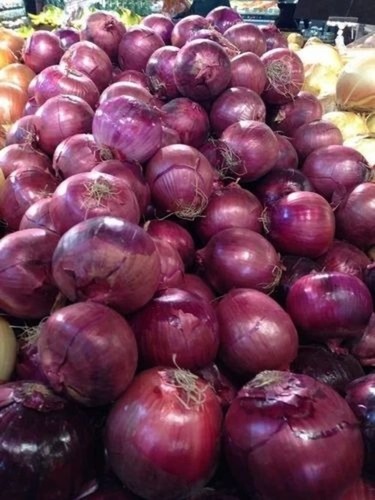 Fresh Red Onion
