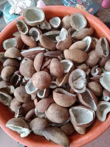 Half Cut Coconut Copra