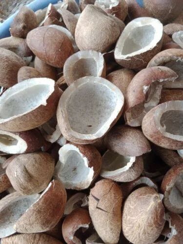 Half Cut Dry Copra Coconut 