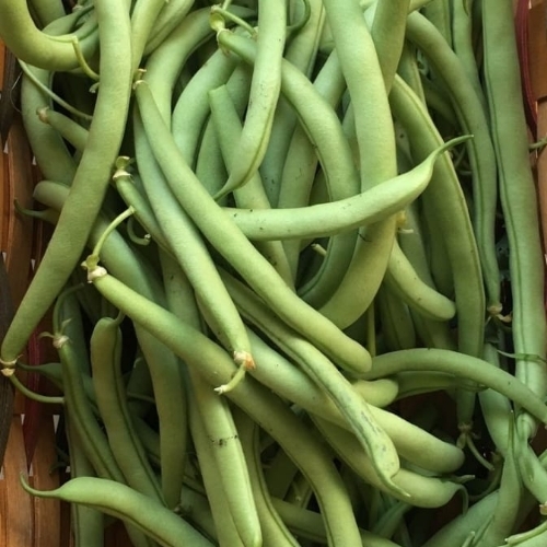 Beens