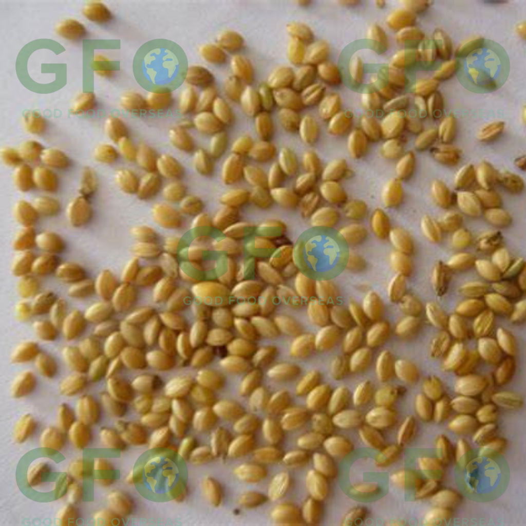 Foxtail Millets