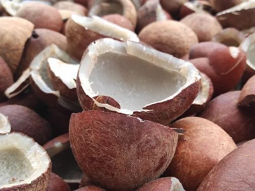 Dried Coconut Copra