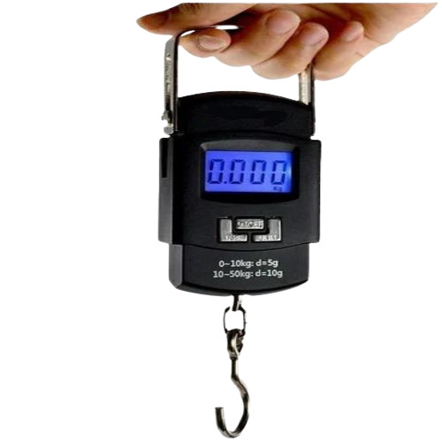 Portable Scale