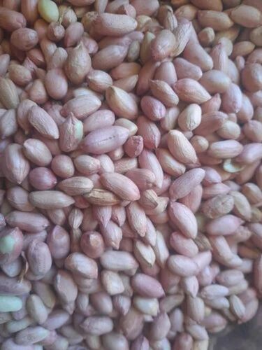 Premium Quality Ground Nut