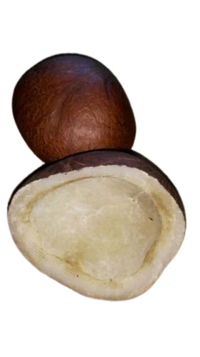 Split Coconut Copra