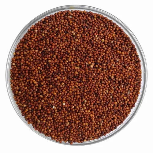 Organic Finger Millet Seeds