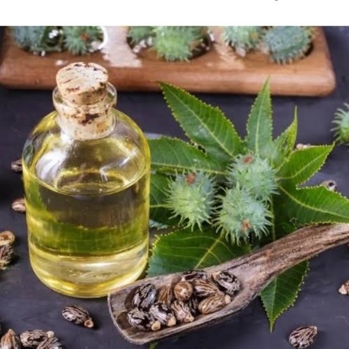 Castor Oil - Light Green Liquid, 100 Purity, Fresh Castor Oil