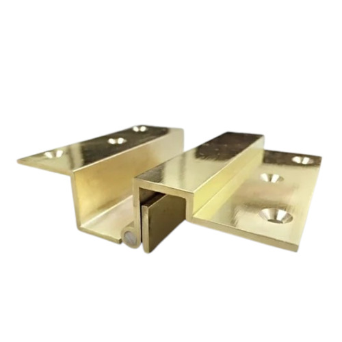 Polished Brass Duck Hinges
