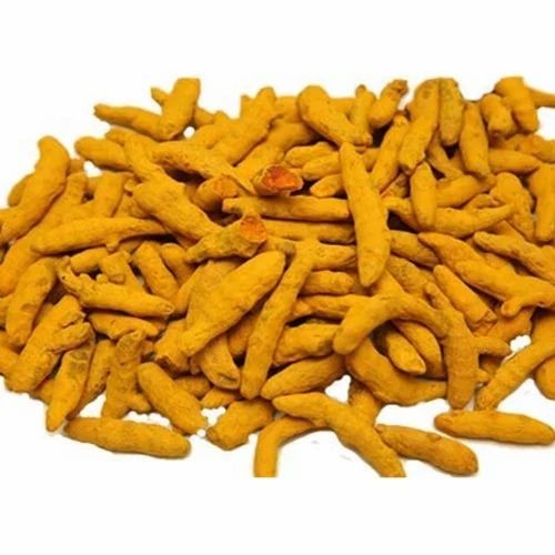 Dried Turmeric Finger