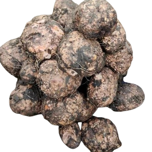 Elephant Yam