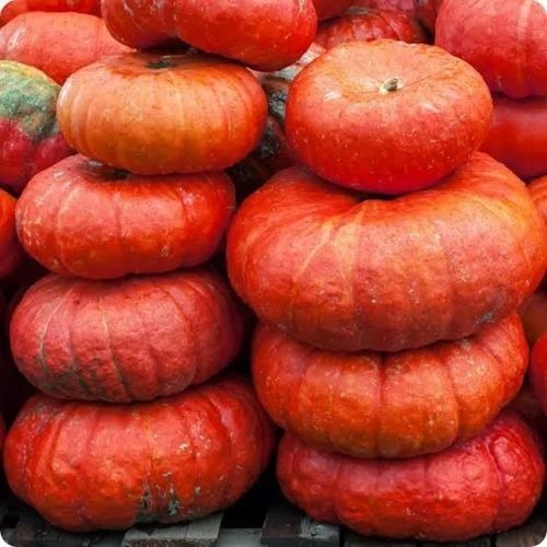 Red Pumpkin