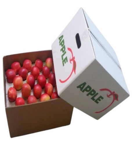 Apple Packaging Box