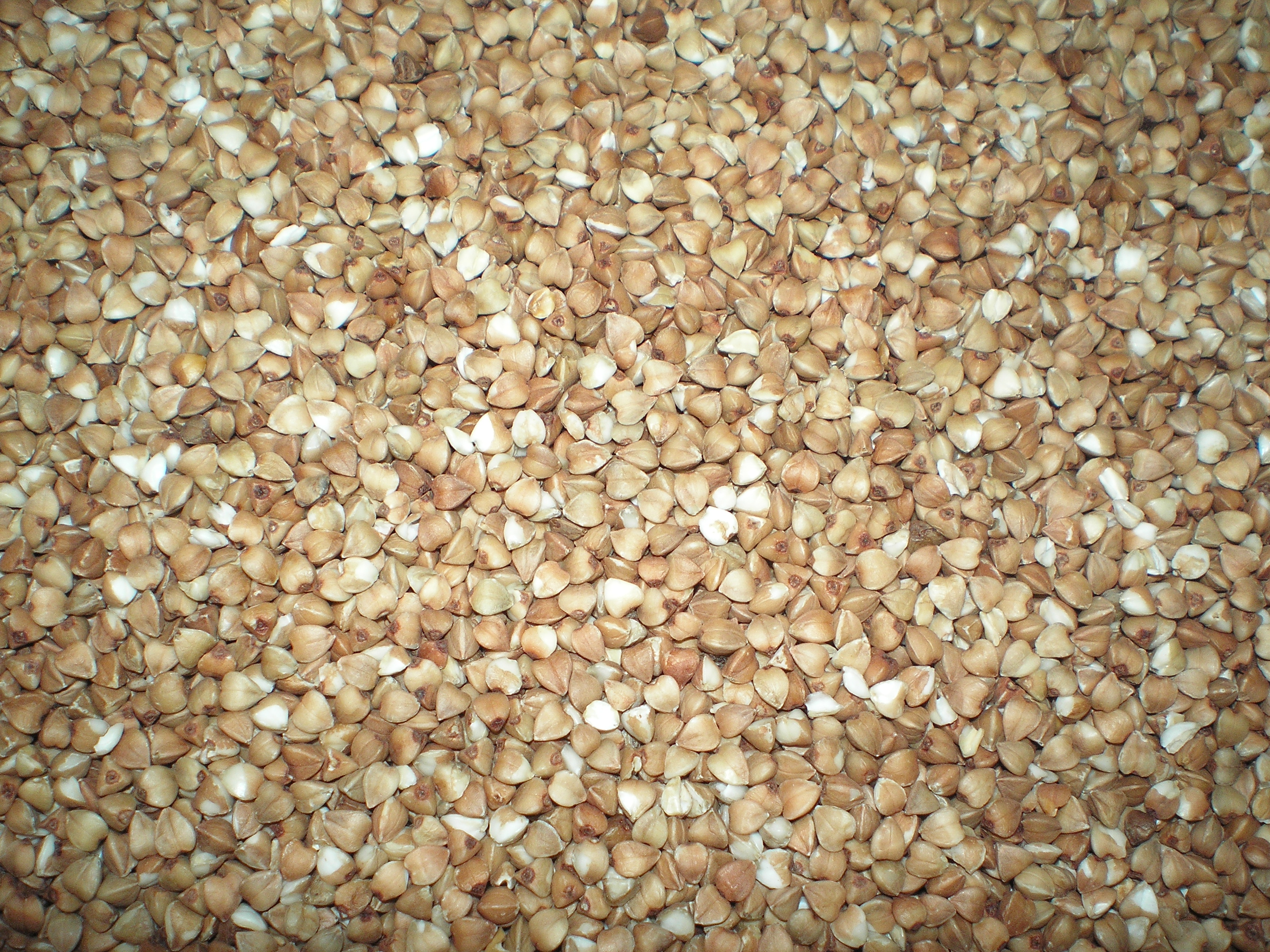 Buckwheat Groats