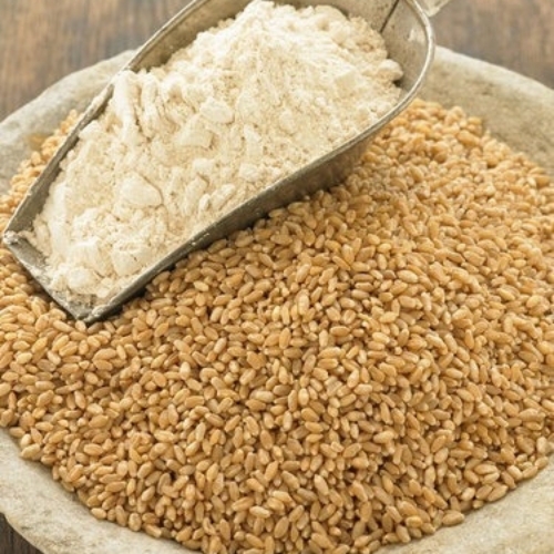 Organic Healthy Wheat Flour
