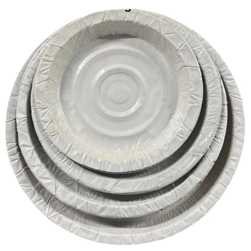 Disposable Paper Plate