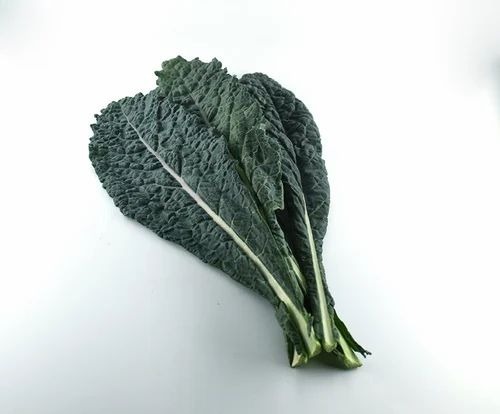 Flat Kale Leaves - Shape: Common