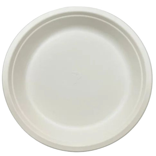 White Disposable Plastic Plate