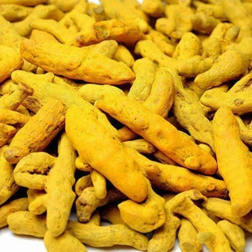 Dried Turmeric Finger - Color: Yellow
