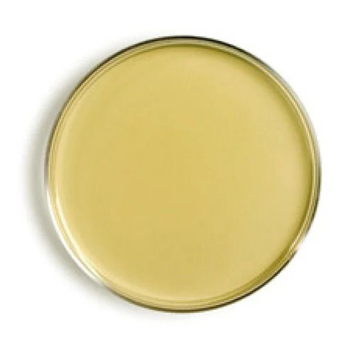 Cetrimide Agar Plate - Borosilicate Glass, Round | Enhances Pigment Production for Identification