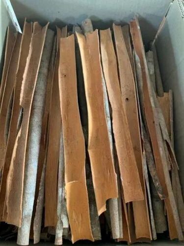 Cinnamon Stick