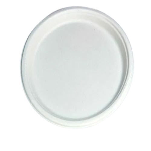 Disposable Plastic Plate
