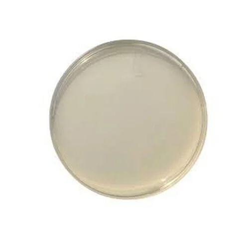 Sabouraud Dextrose Agar Plate - Application: Food And Clinical Microbiology Laboratories
