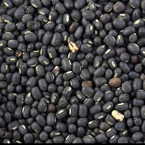 Urad Sabut Dal