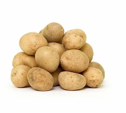 A Grade Fresh Potato