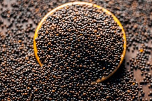 Black Dry Mustard Seed - Admixture (%): .