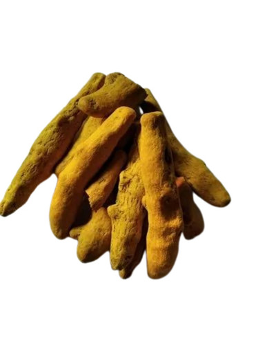Organic Turmeric Finger