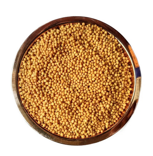 Yellow Dry Mustard Seeds - Grade: A