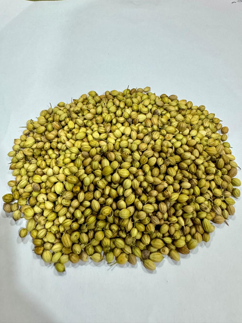 Coriander seeds