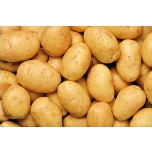 Pukhraj Fresh Potato