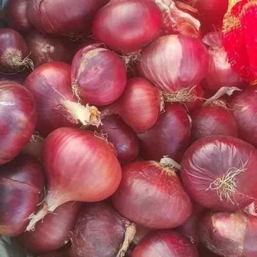 Red Onion