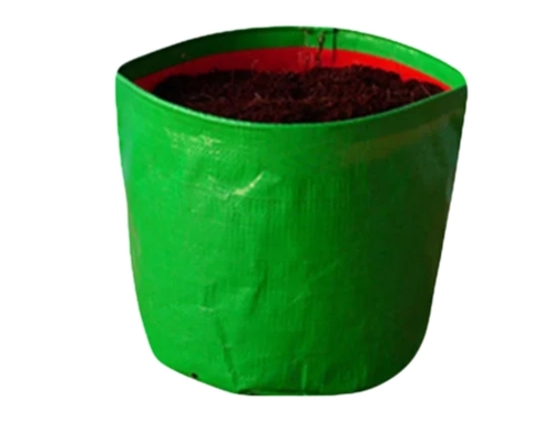 Azolla Cultivation Bed