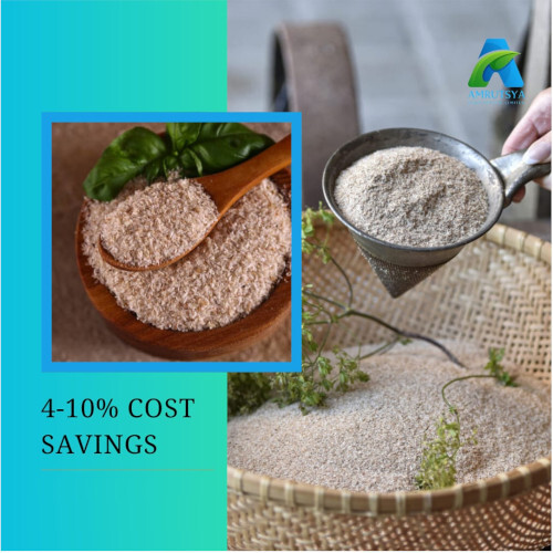Psyllium Husk Isabgol