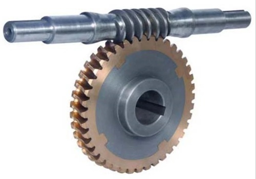 Worm Wheel