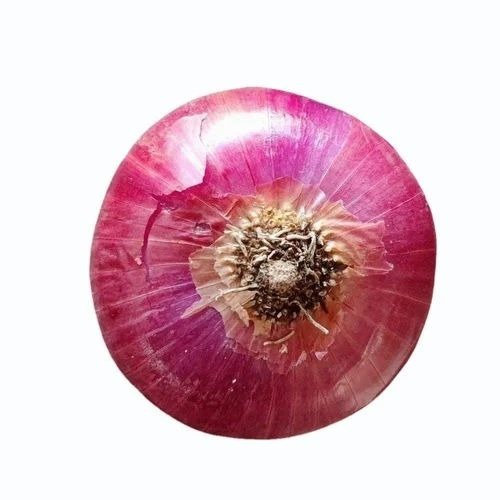 55mm Nashik Onions