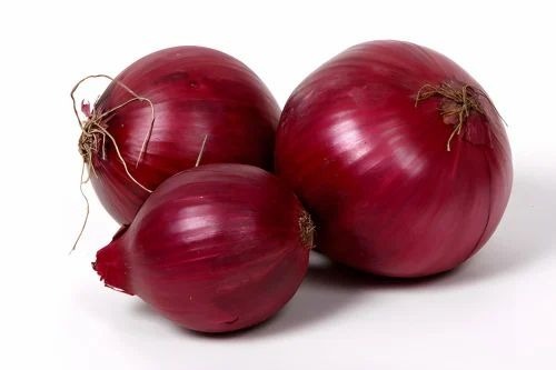 60mm Red Onion
