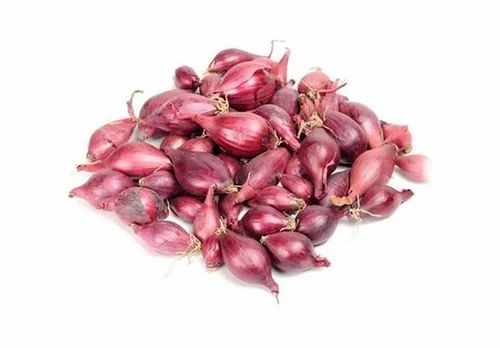 A Grade Small Onion
