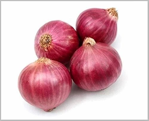 Fresh Organic Onion
