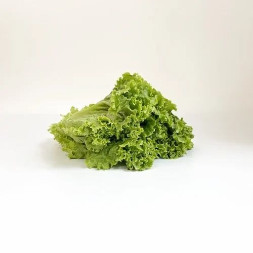 Green Leafy Lettuces