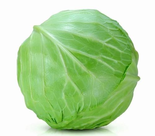 Organic Cabbage