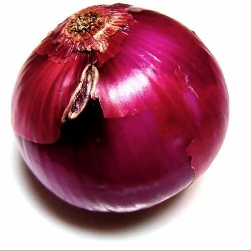 Organic Red Onion